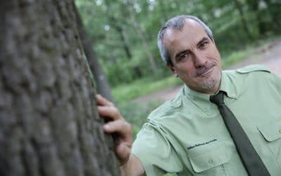 La forêt de Saint-Germain-en-Laye, écrin vivant du pavillon de La Muette