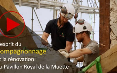 Newsletter exceptionnelle – Pas d’âge pour le compagnonnage